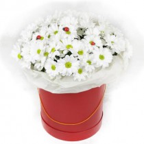 Charming arrangement of chrysanthemums in a hat box